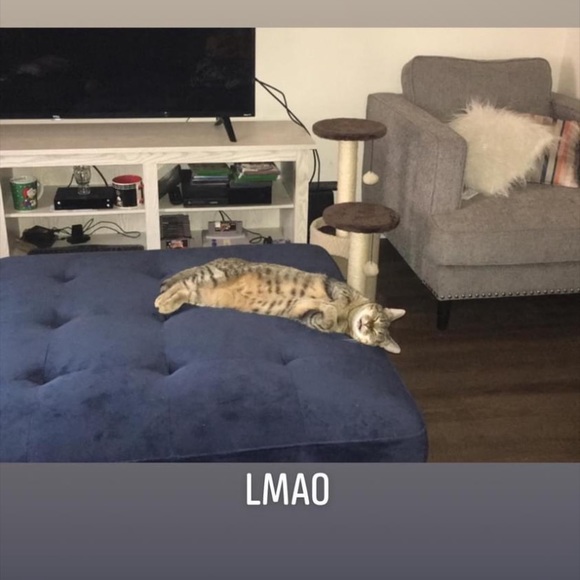 Meet your Posher, Legend - Picture 11 of 11